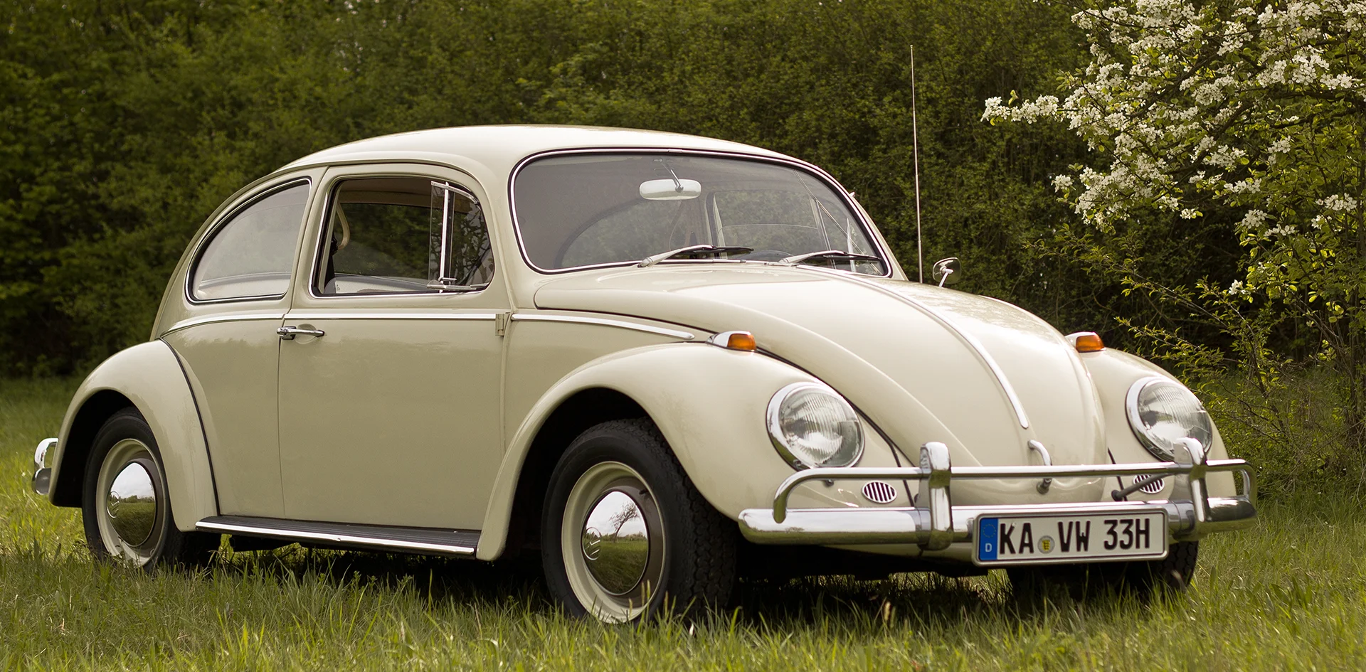 Η Ιστορία του VW Beetle: Το Αυτοκίνητο του Λαού